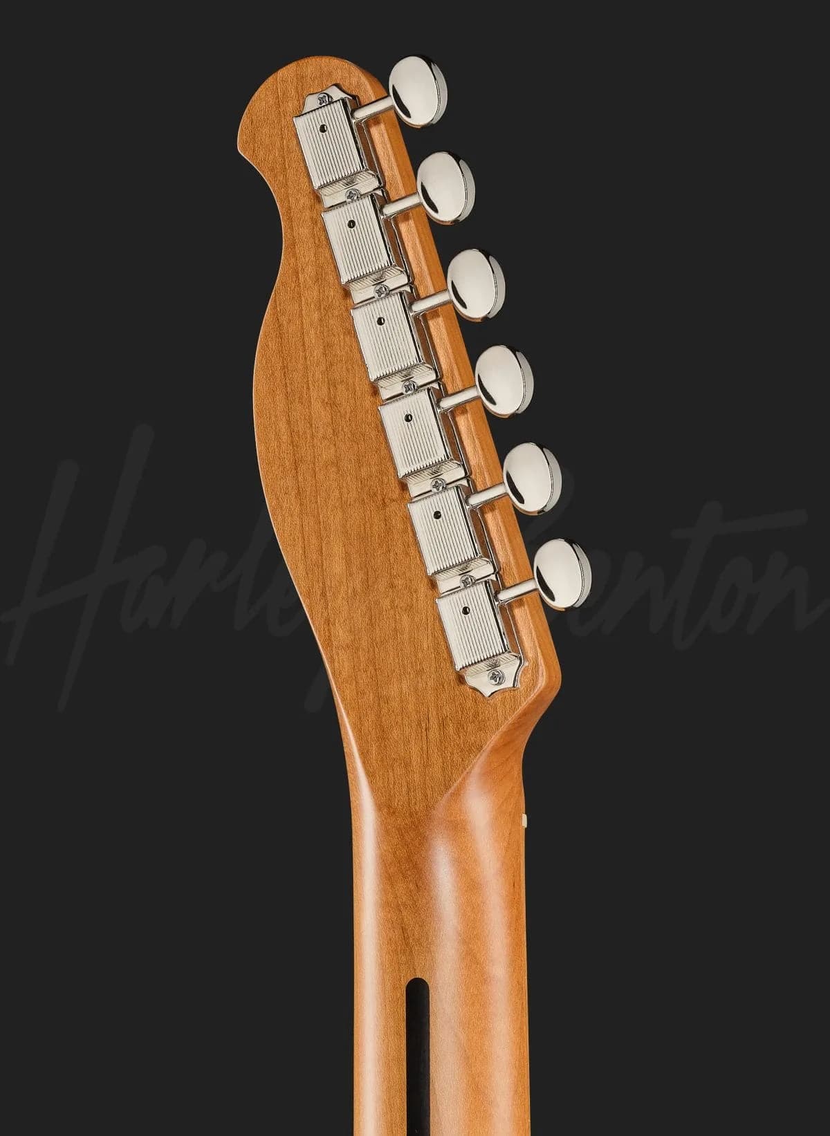 Harley Benton TE-62 CC Tremolo LPB — photo 7