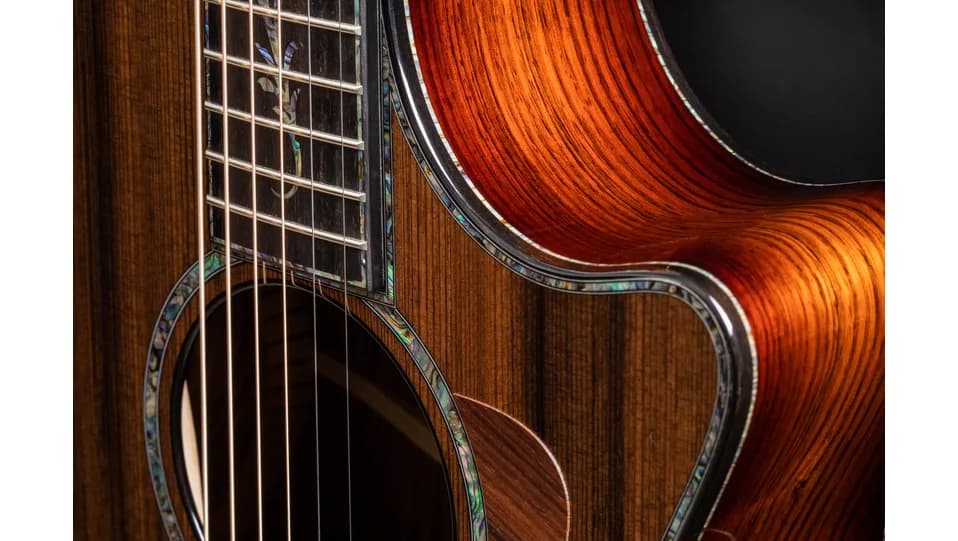 Taylor PS12ce Honduran Rosewood — photo 7