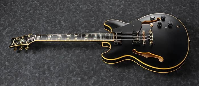Ibanez JSM20 — photo 4