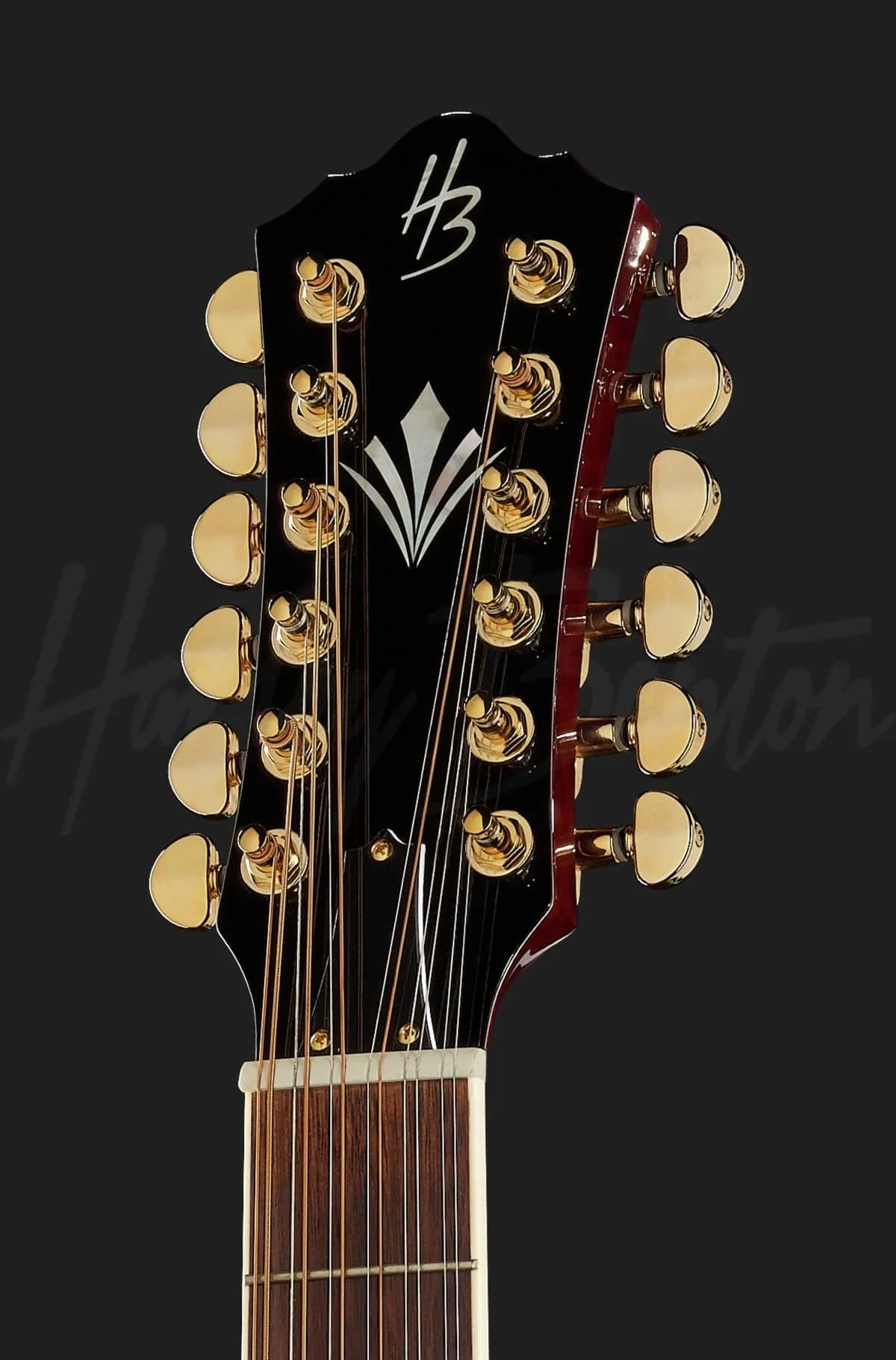 Harley Benton CLJ-412E 3SB — photo 6