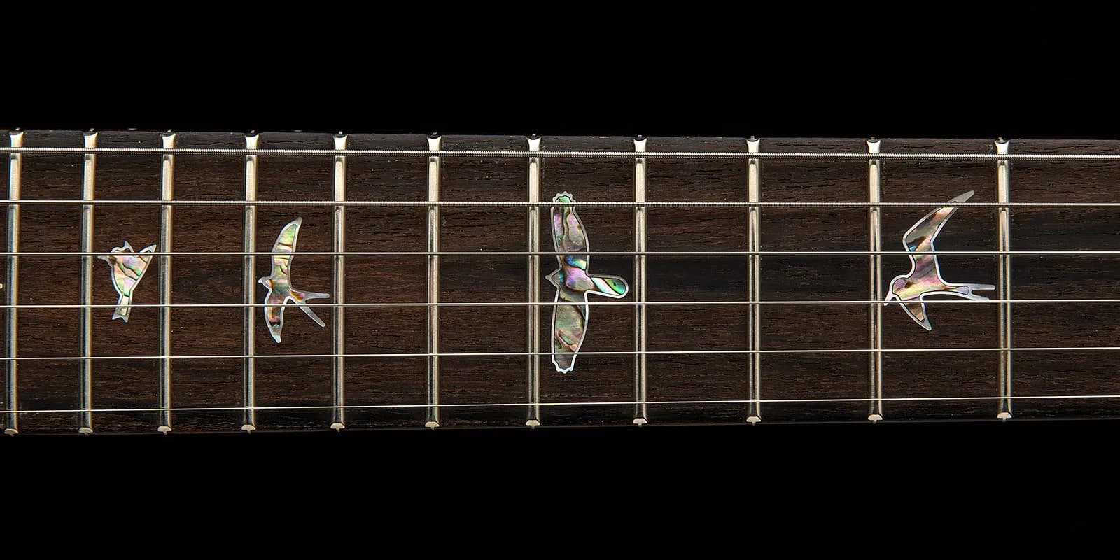 PRS 40th Anniversary Custom 24 Limited Edition — photo 5