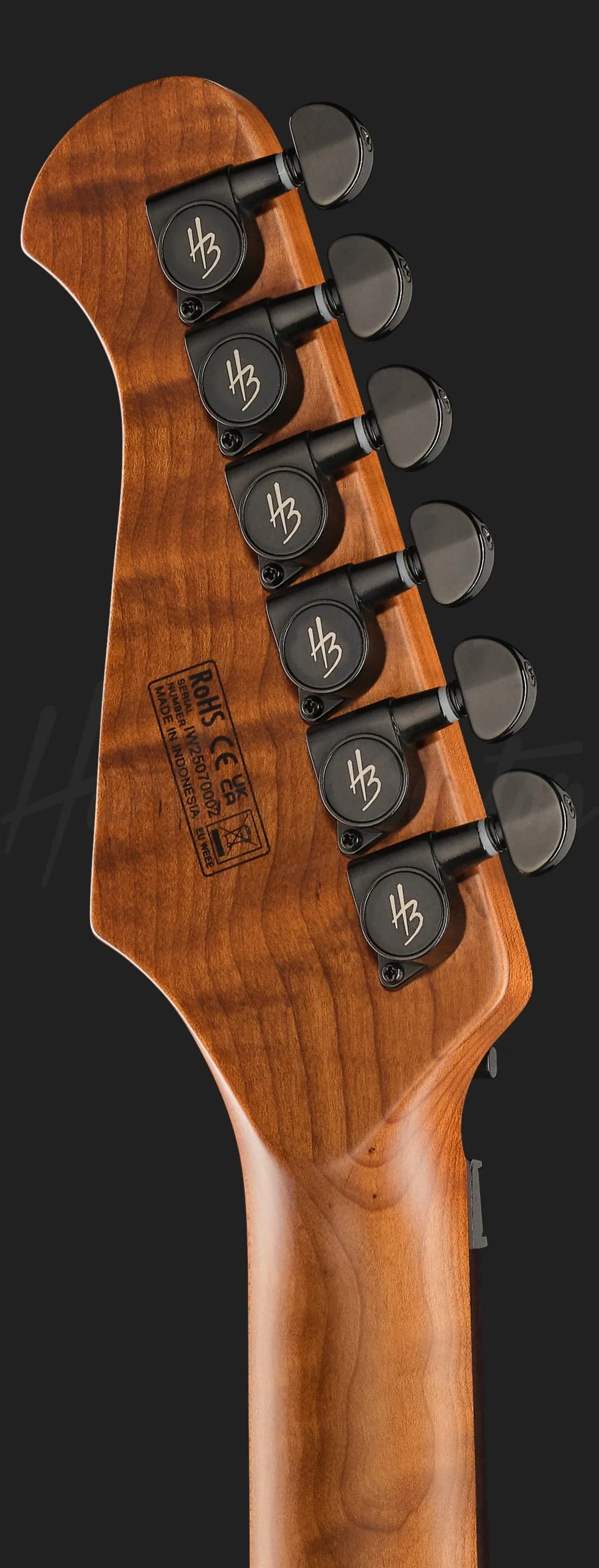 Harley Benton Fusion-IV HH RW FR BM — photo 7