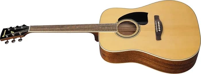 Ibanez PF15 — photo 8