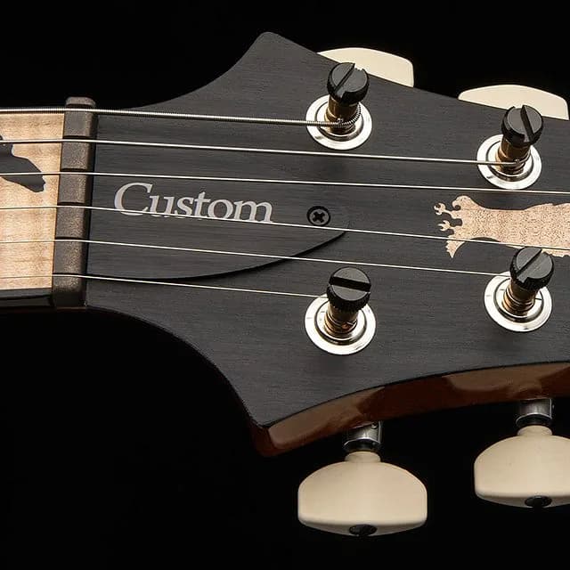PRS Custom 24 "Birds of a Feather" Limited Edition