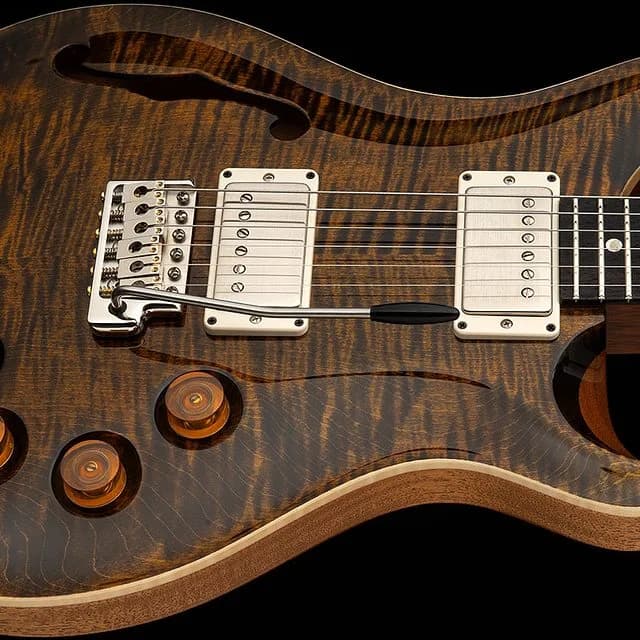 PRS DGT Semi-Hollow — photo 2