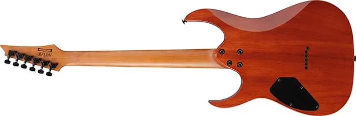 Ibanez GRGR221FA — photo 5