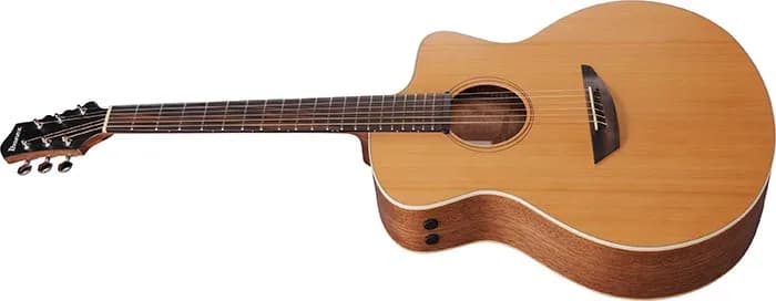 Ibanez PA230E — photo 4