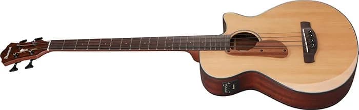 Ibanez AEGB30E — photo 4