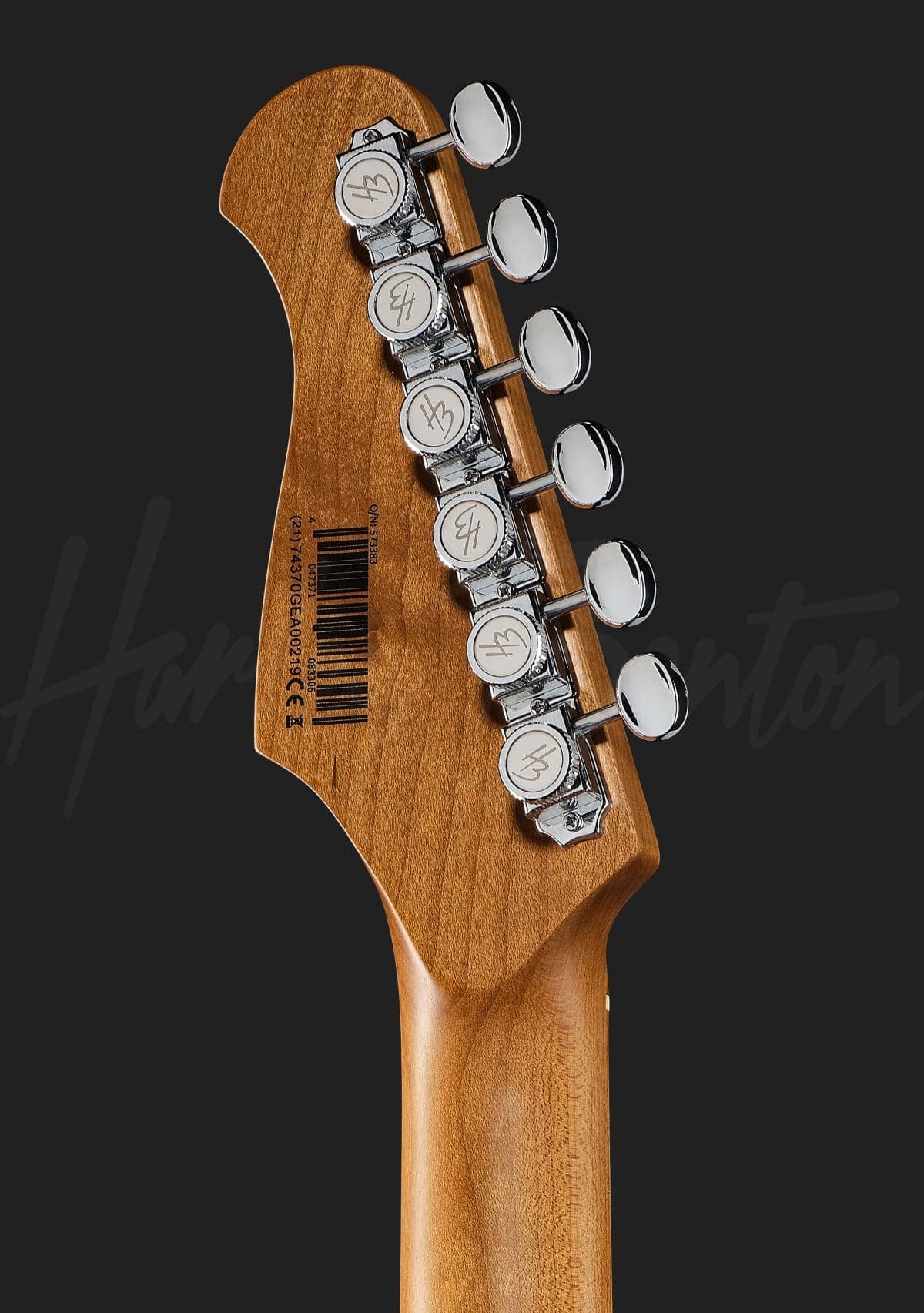 Harley Benton ST-Modern HSS MN SP — photo 7