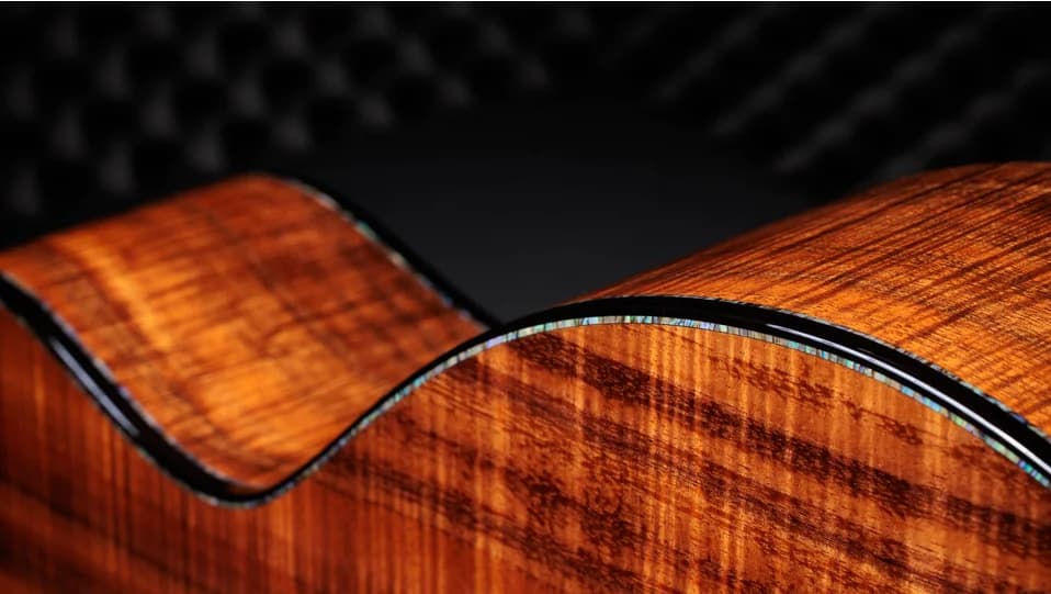 Taylor 50th Anniversary PS24ce LTD &amp; Circa 74 Amp — photo 7
