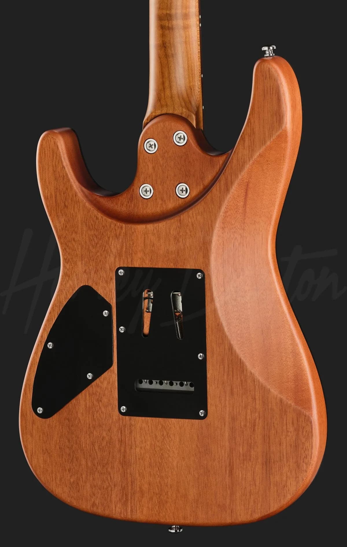Harley Benton Fusion-IV HSH RW SGR — photo 5