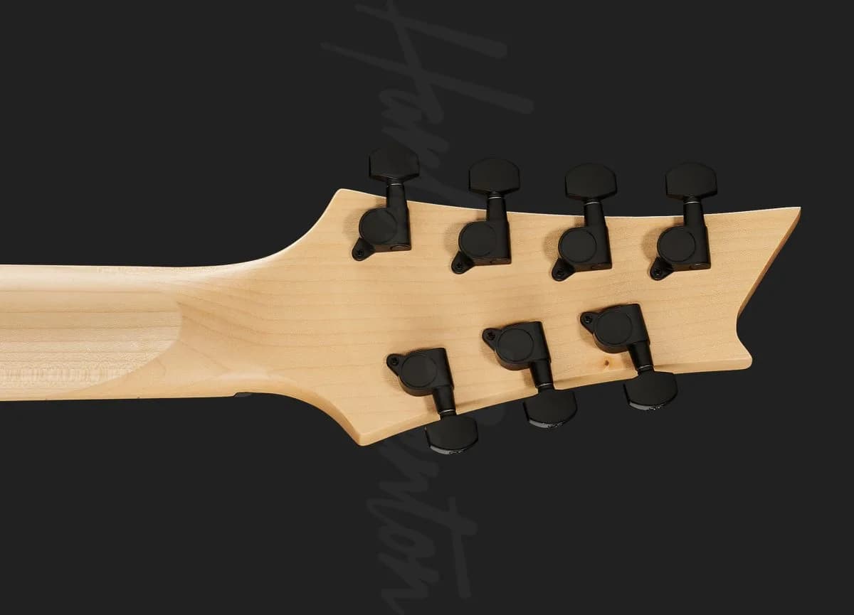 Harley Benton R-457MN LH WH — photo 7