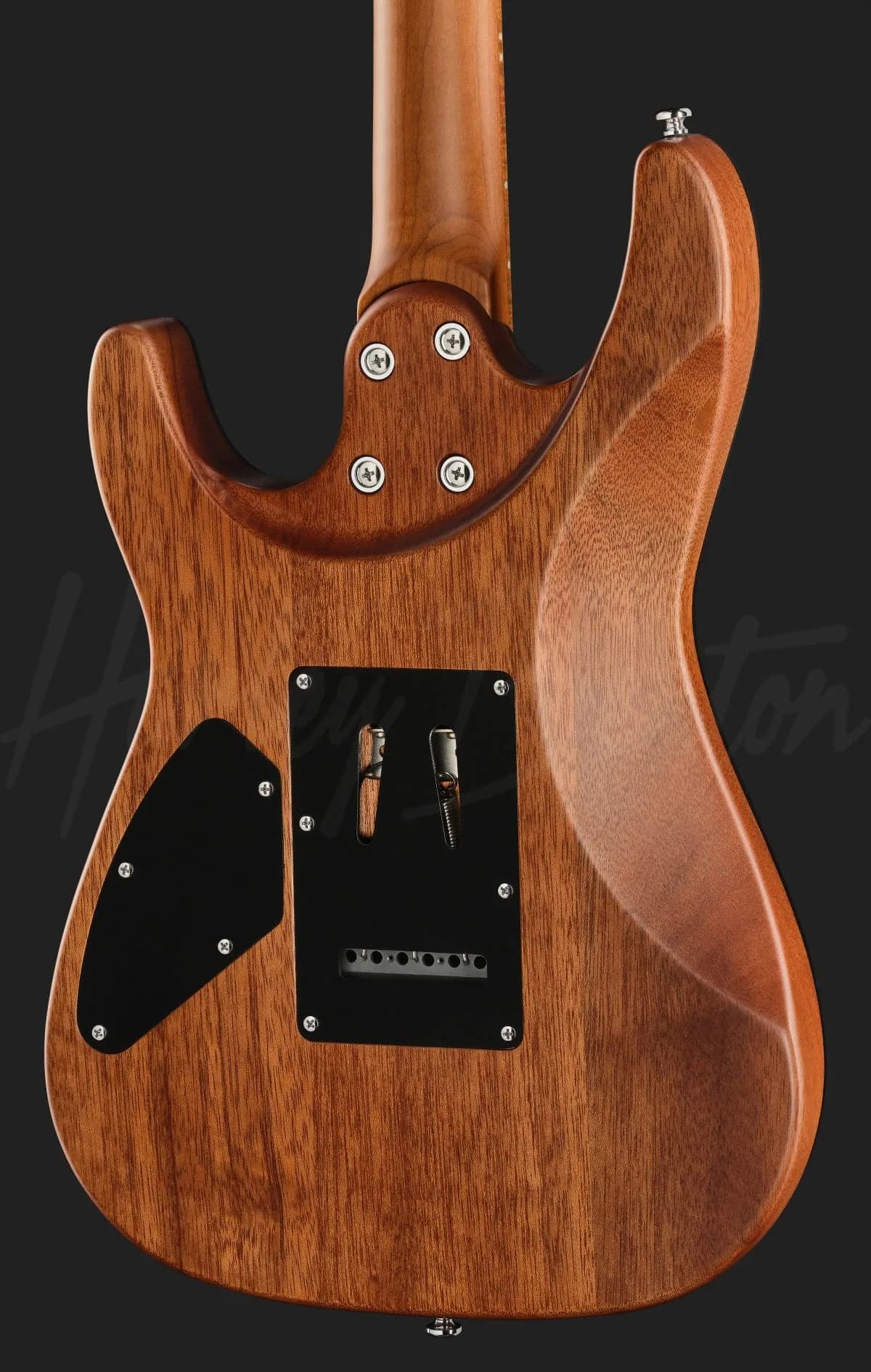 Harley Benton Fusion-IV HSS MN SGR — photo 5