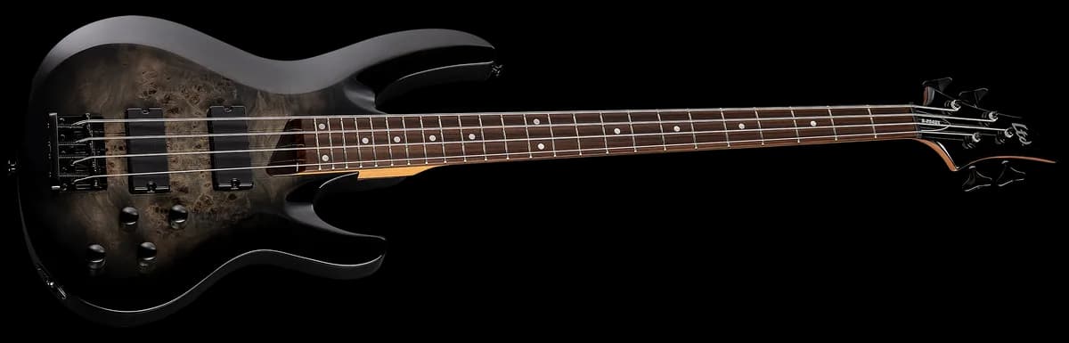 ESP B-204DX Black Burst — photo 3