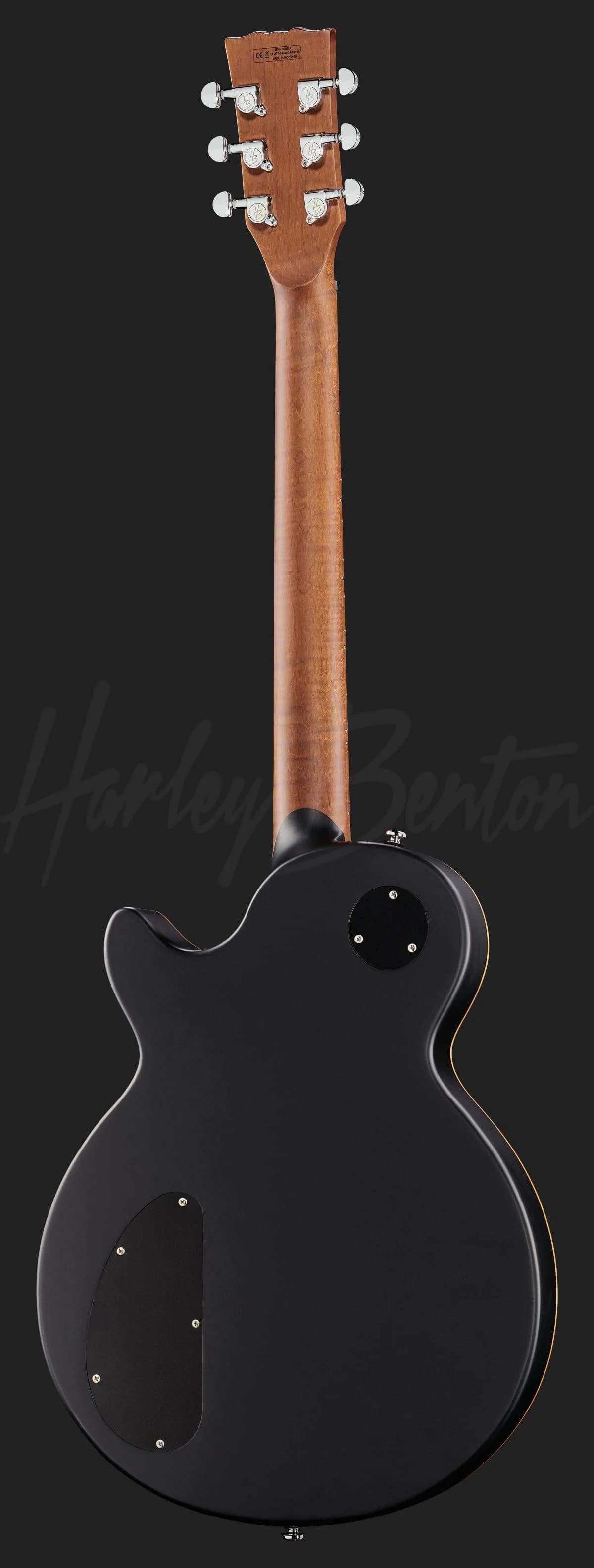 Harley Benton Aeolus Frost Flame — photo 3