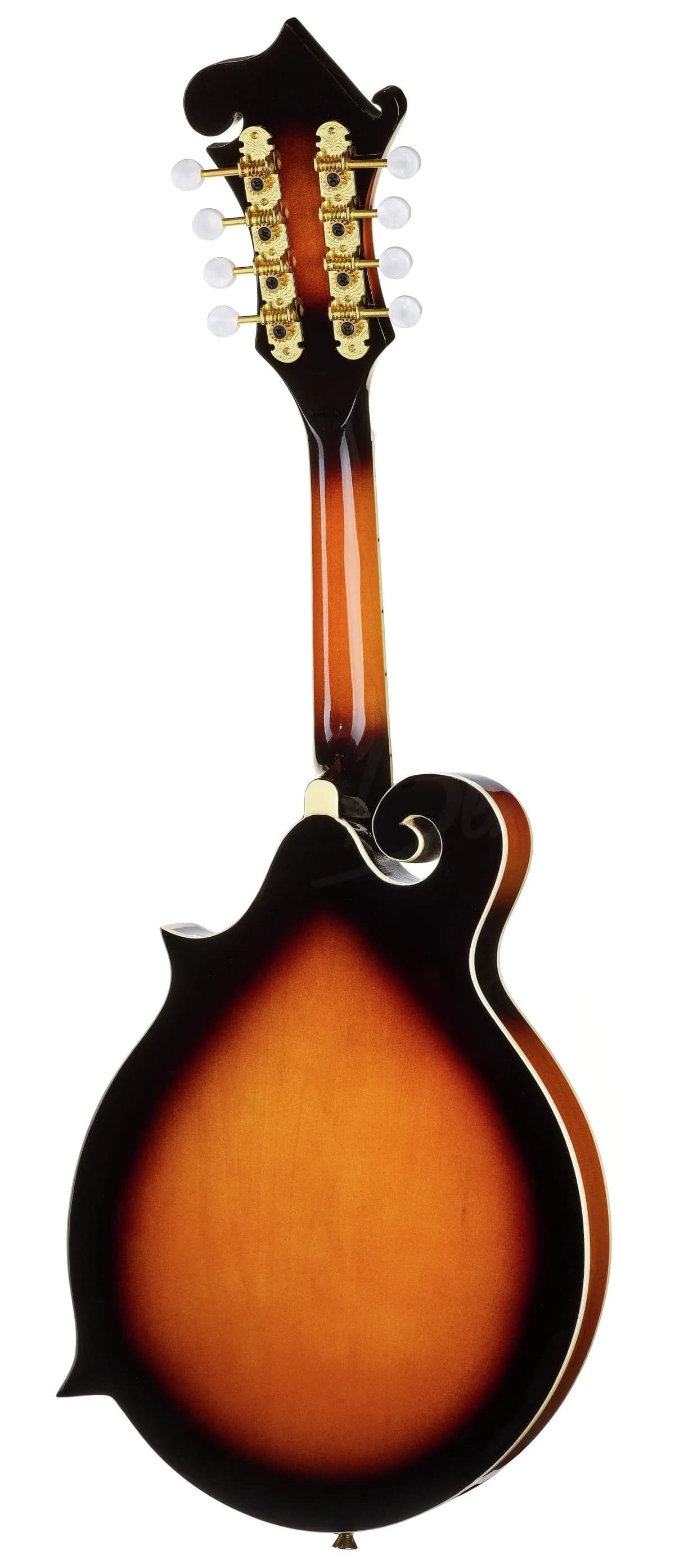 Harley Benton MA-100 VS — photo 3