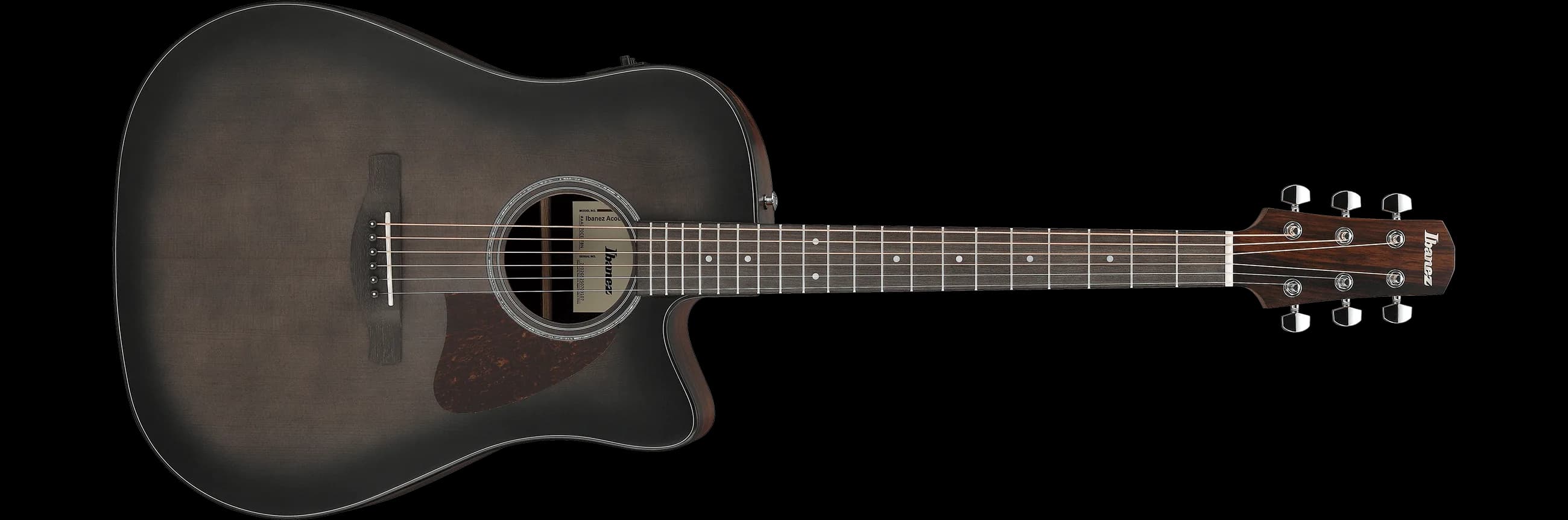 Ibanez AAD70CE