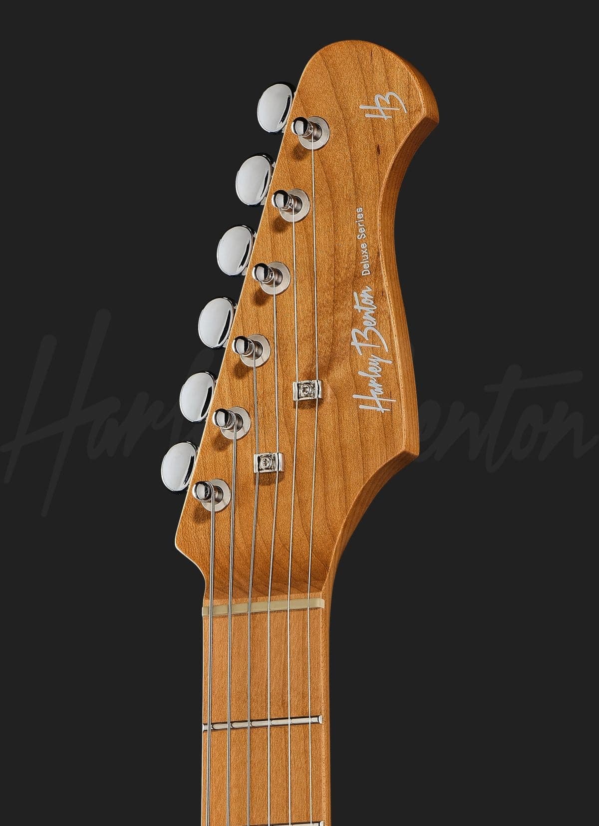 Harley Benton ST-Modern HSS MN SP — photo 6