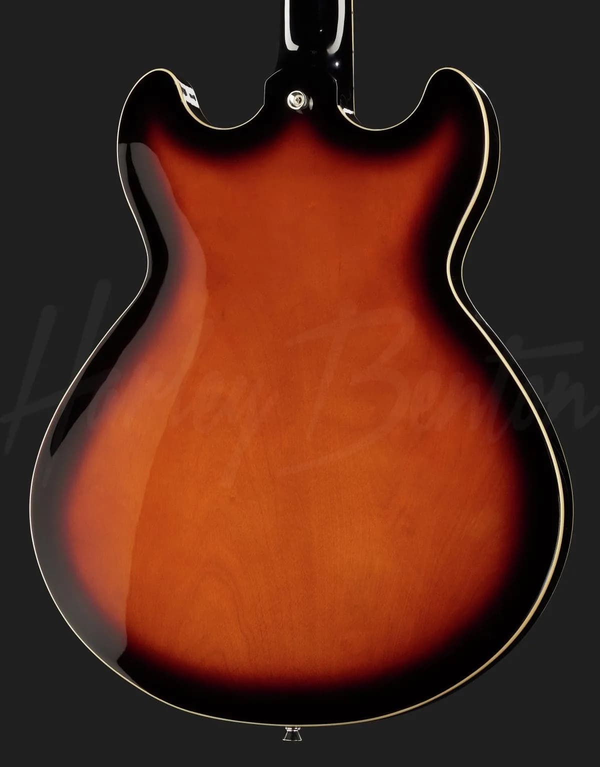 Harley Benton HB-35Plus VS — photo 5