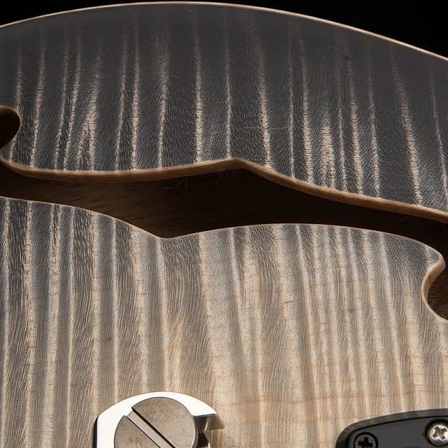 PRS Private Stock 30th Anniversary "Birds of a Feather" Hollowbody I — photo 5