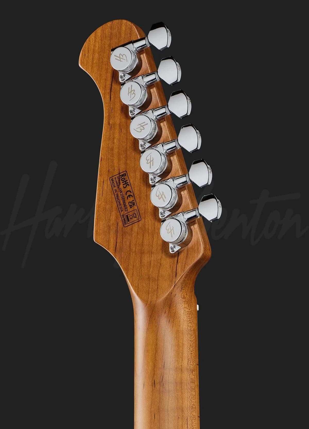 Harley Benton Fusion-IV HH MN RM — photo 7