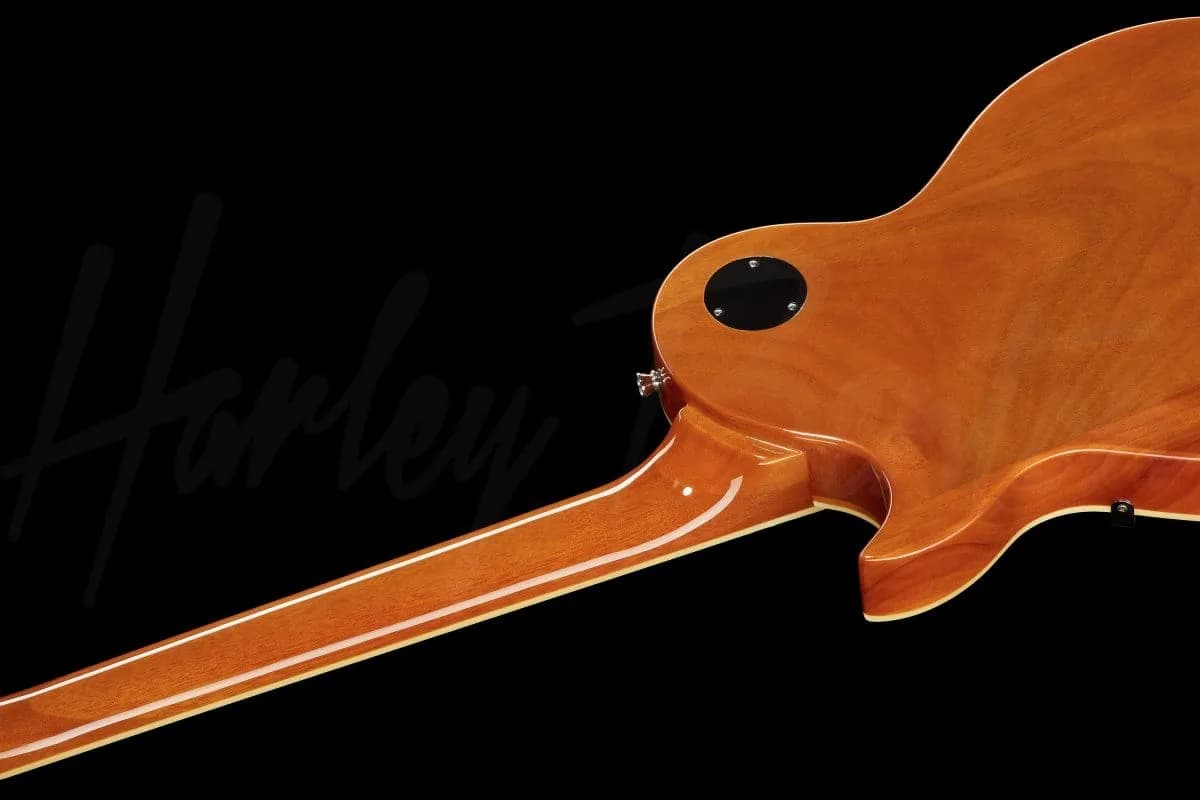 Harley Benton SC-450Plus LD — photo 8