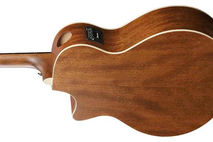 Ibanez AE100 — photo 3