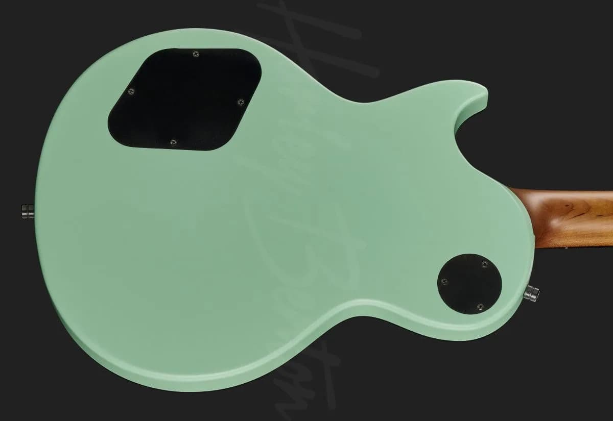 Harley Benton Agufish STD Signature SFG — photo 5
