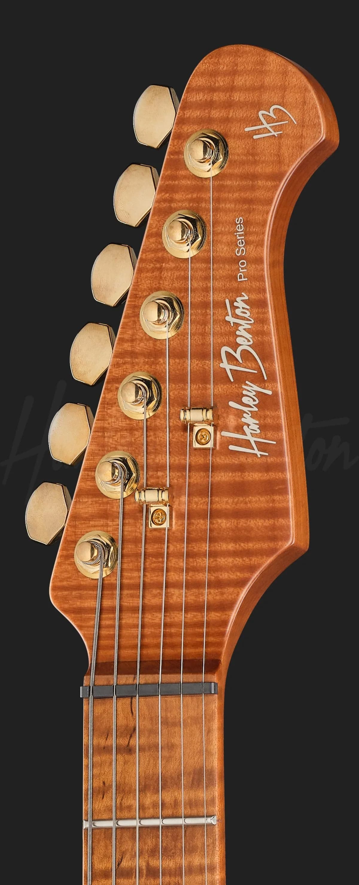 Harley Benton Fusion-IV HSH MN FBB — photo 6