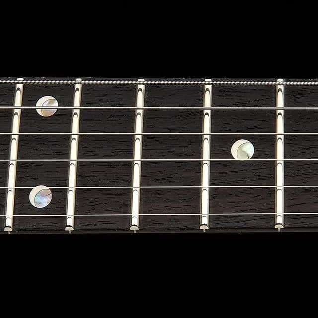 PRS DGT Semi-Hollow — photo 7