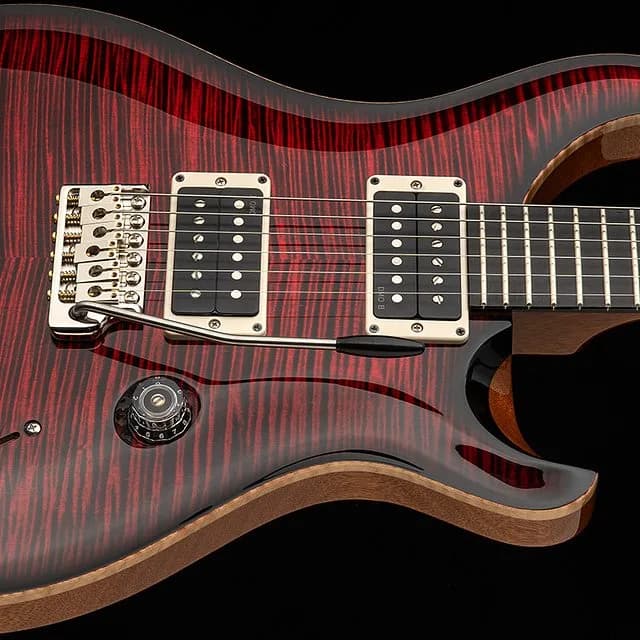 PRS Custom 24 "Birds of a Feather" Limited Edition — photo 2