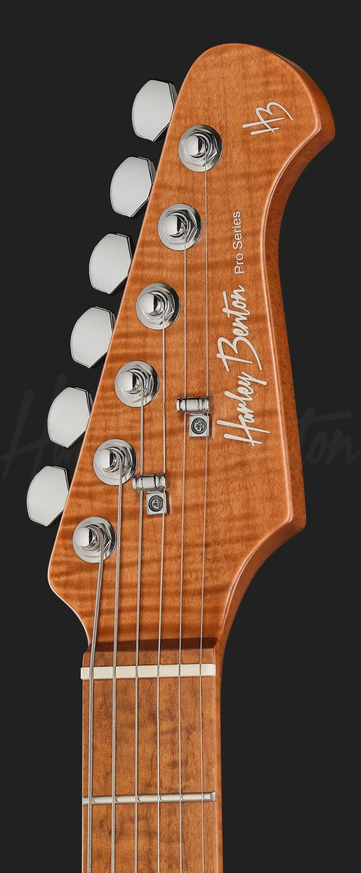 Harley Benton Fusion-IV HSS MN SGR — photo 6