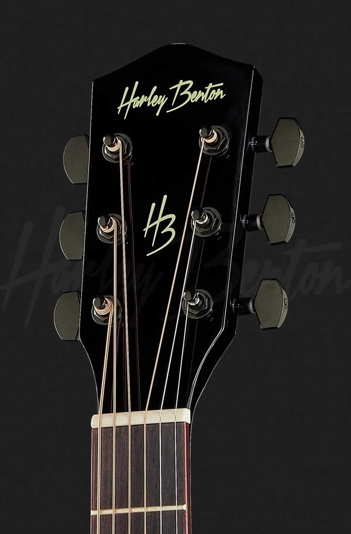 Harley Benton EAX-500TL Black — photo 6