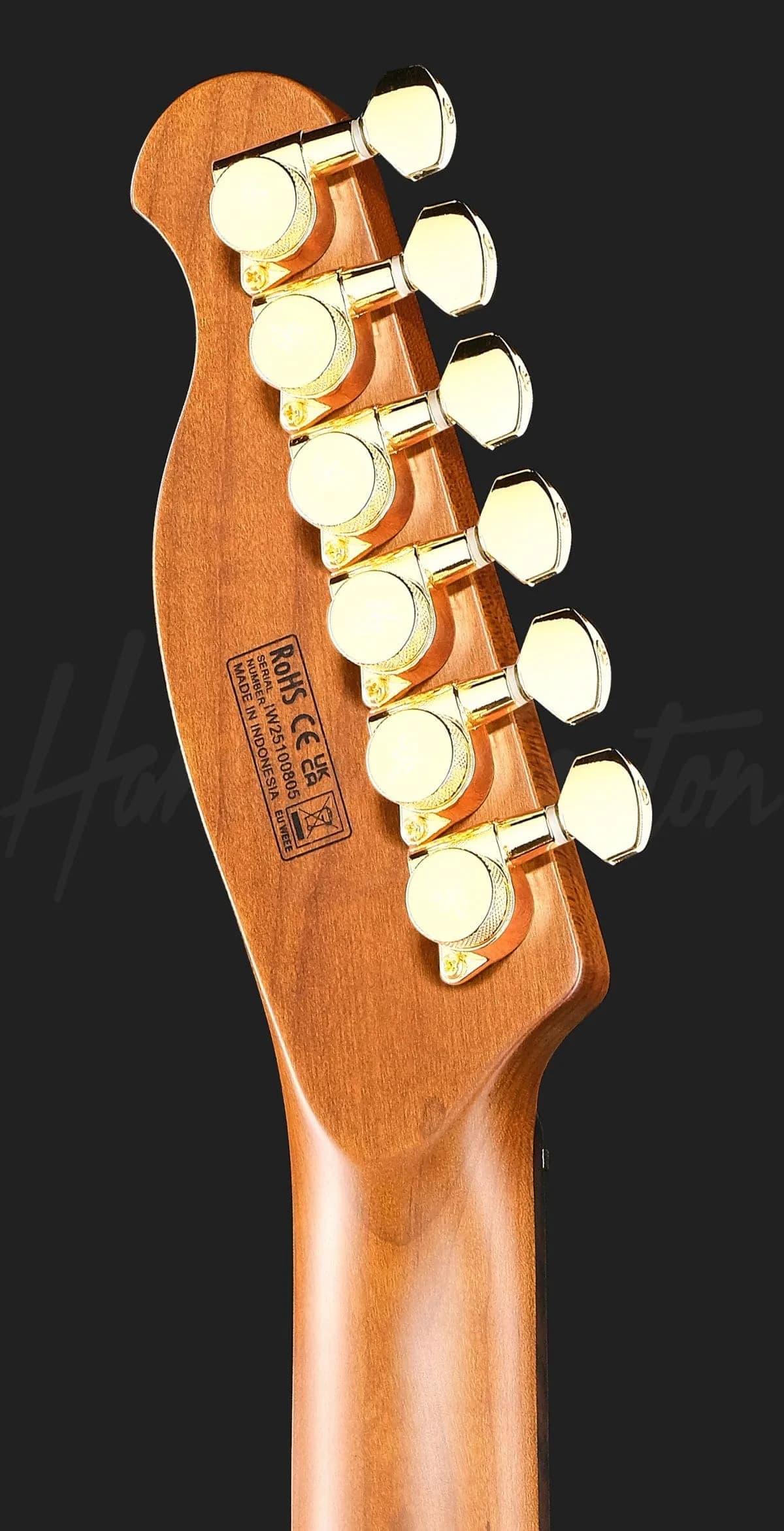 Harley Benton Fusion-T II HH RW HT PM — photo 7