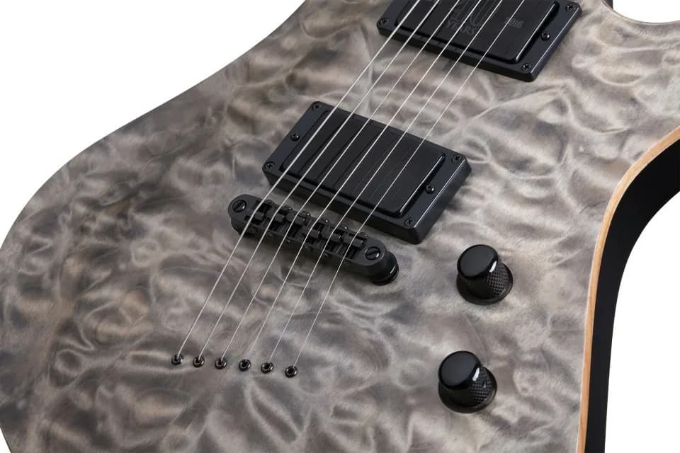 Schecter Avenger 40th Anniversary — photo 6