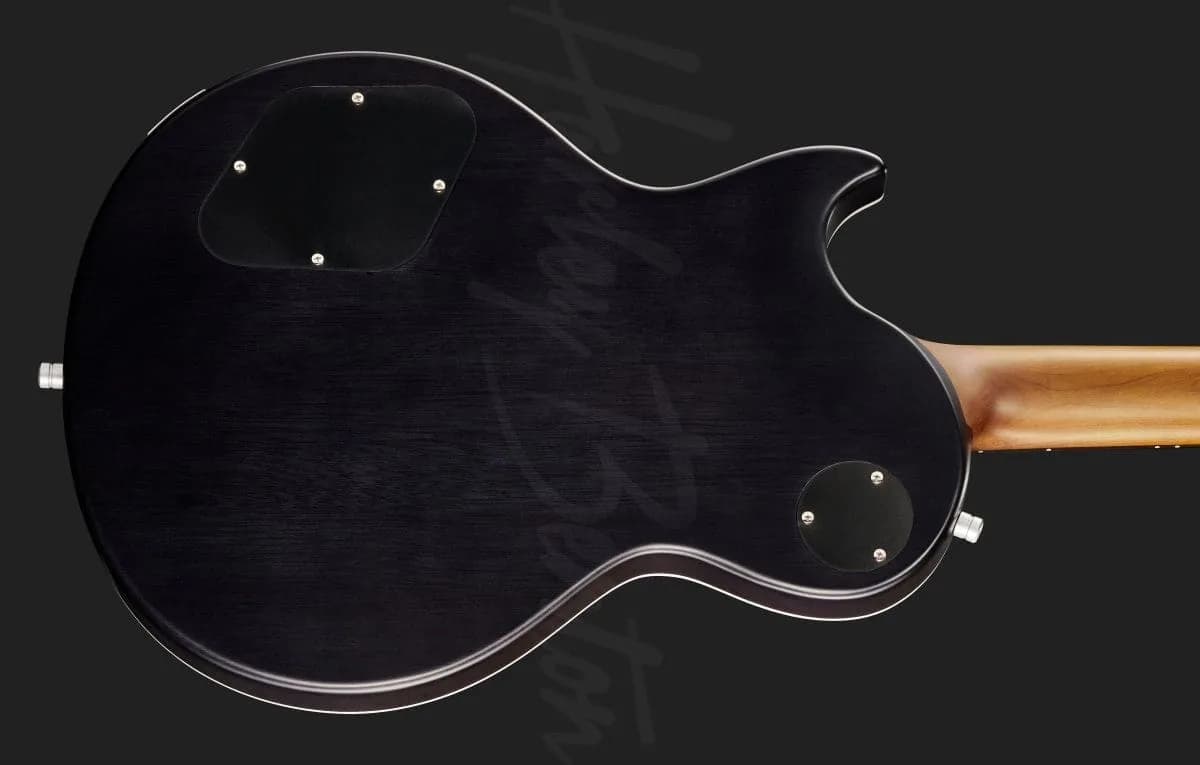 Harley Benton Agufish Custom Signature BT PB LTD — photo 5