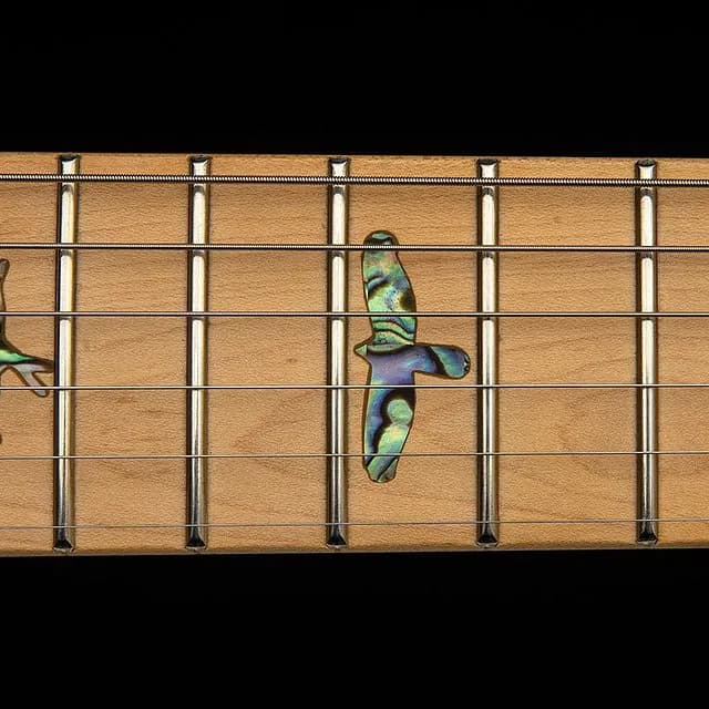 PRS SE NF 53 — photo 6