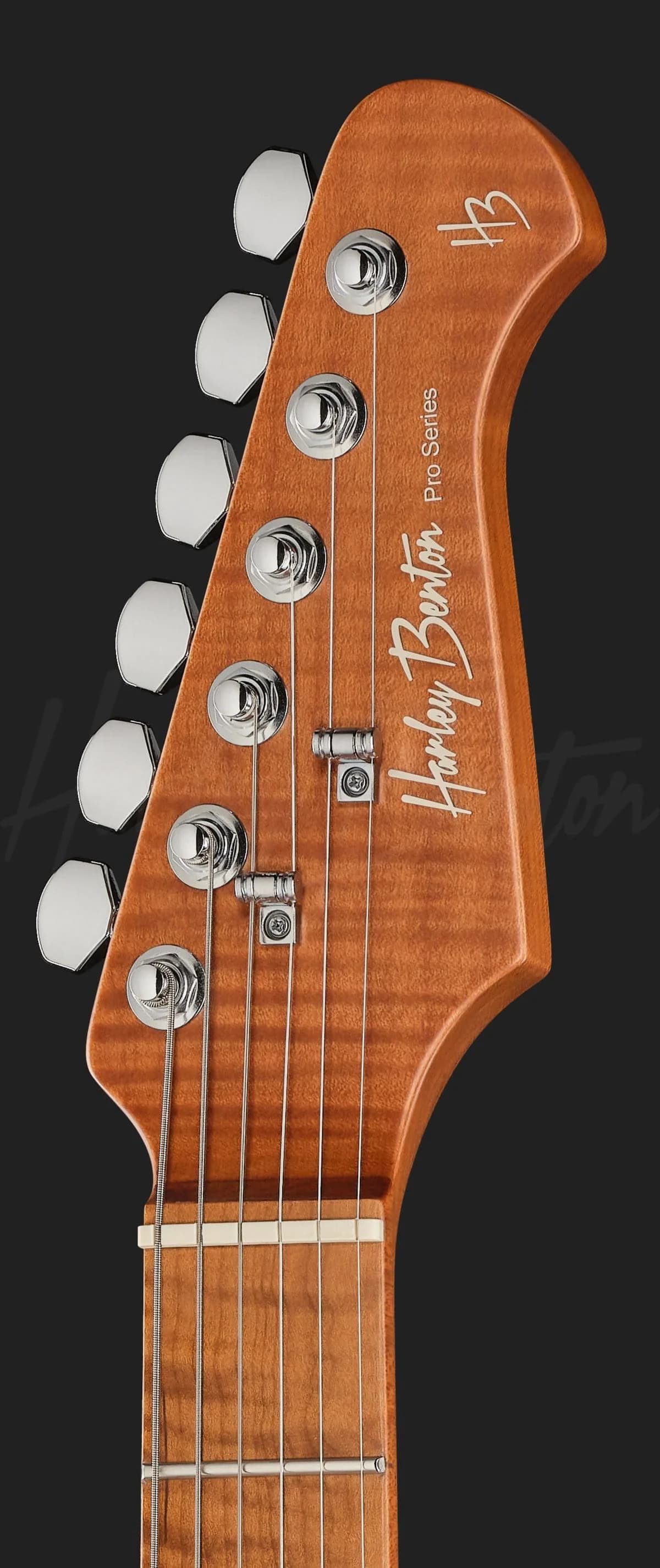 Harley Benton Fusion-IV HH MN QDG — photo 6