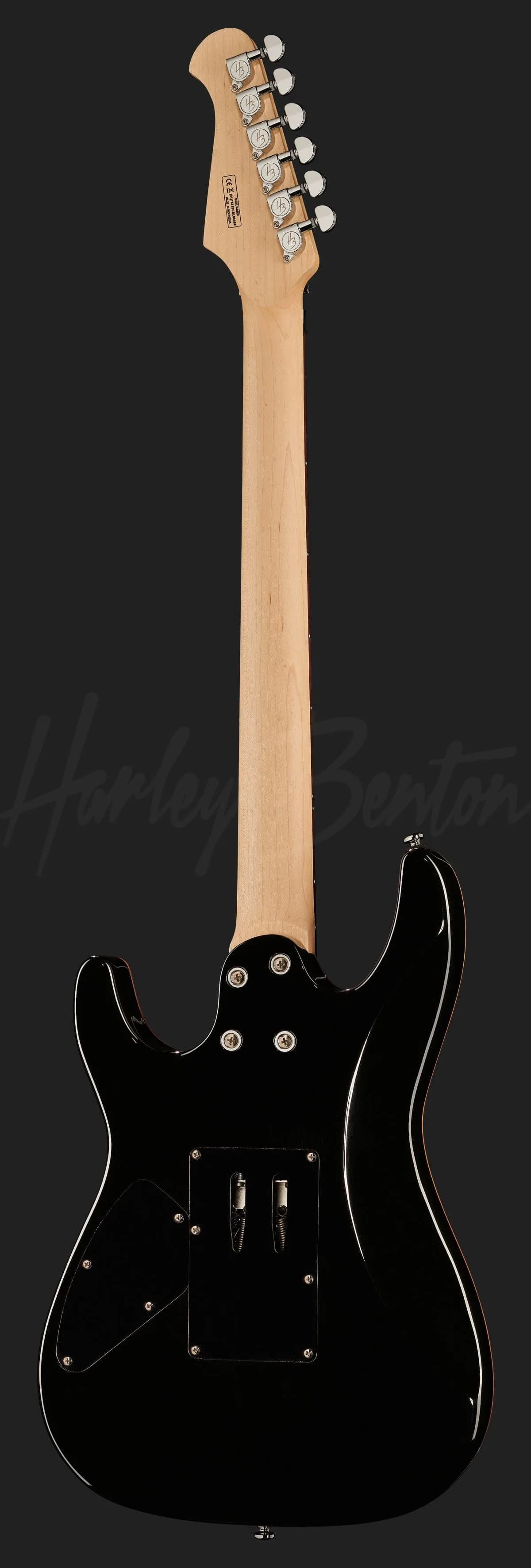 Harley Benton Fusion-III HH FR EB FBB — photo 3