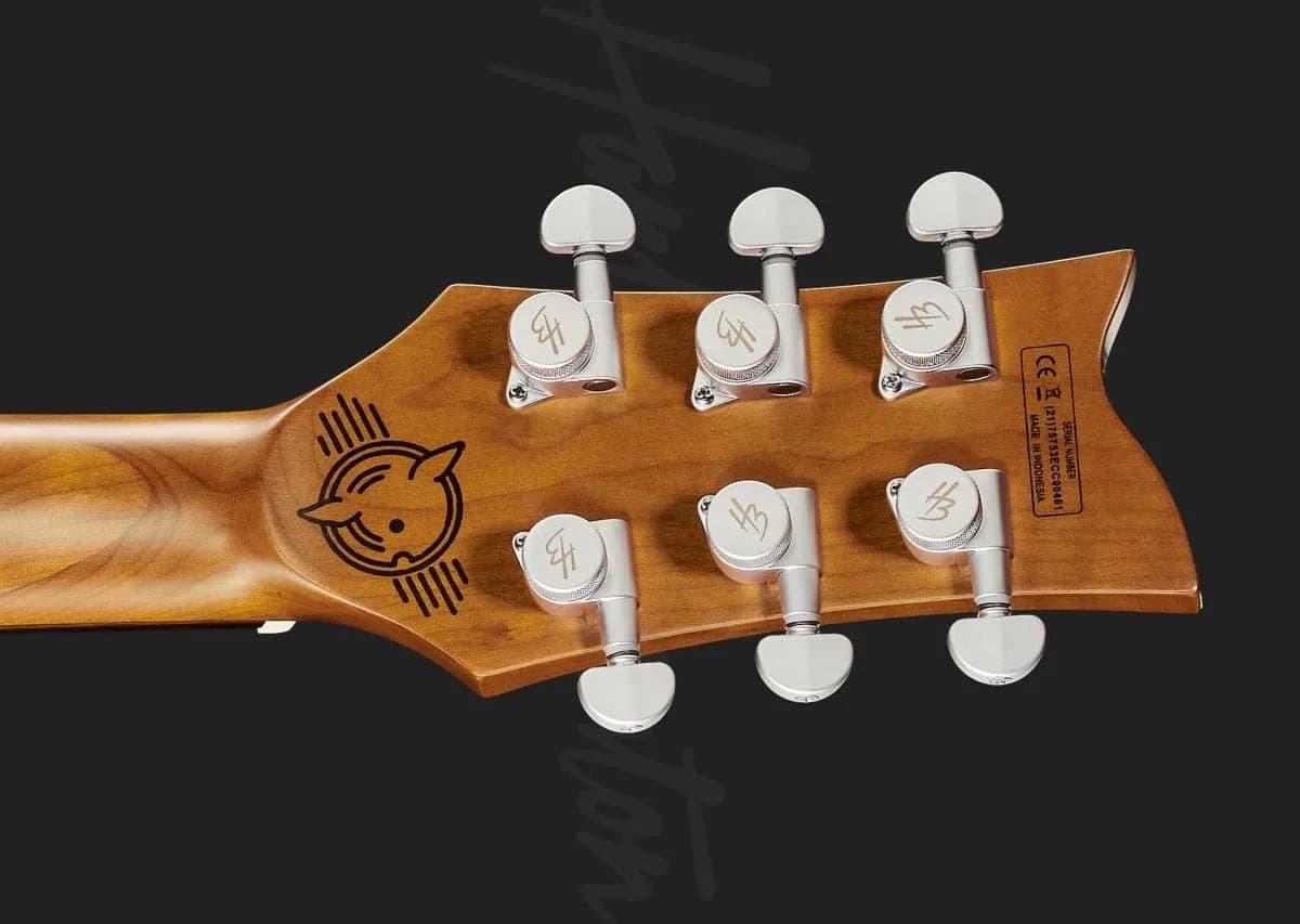 Harley Benton Agufish Custom Signature PB LTD — photo 7