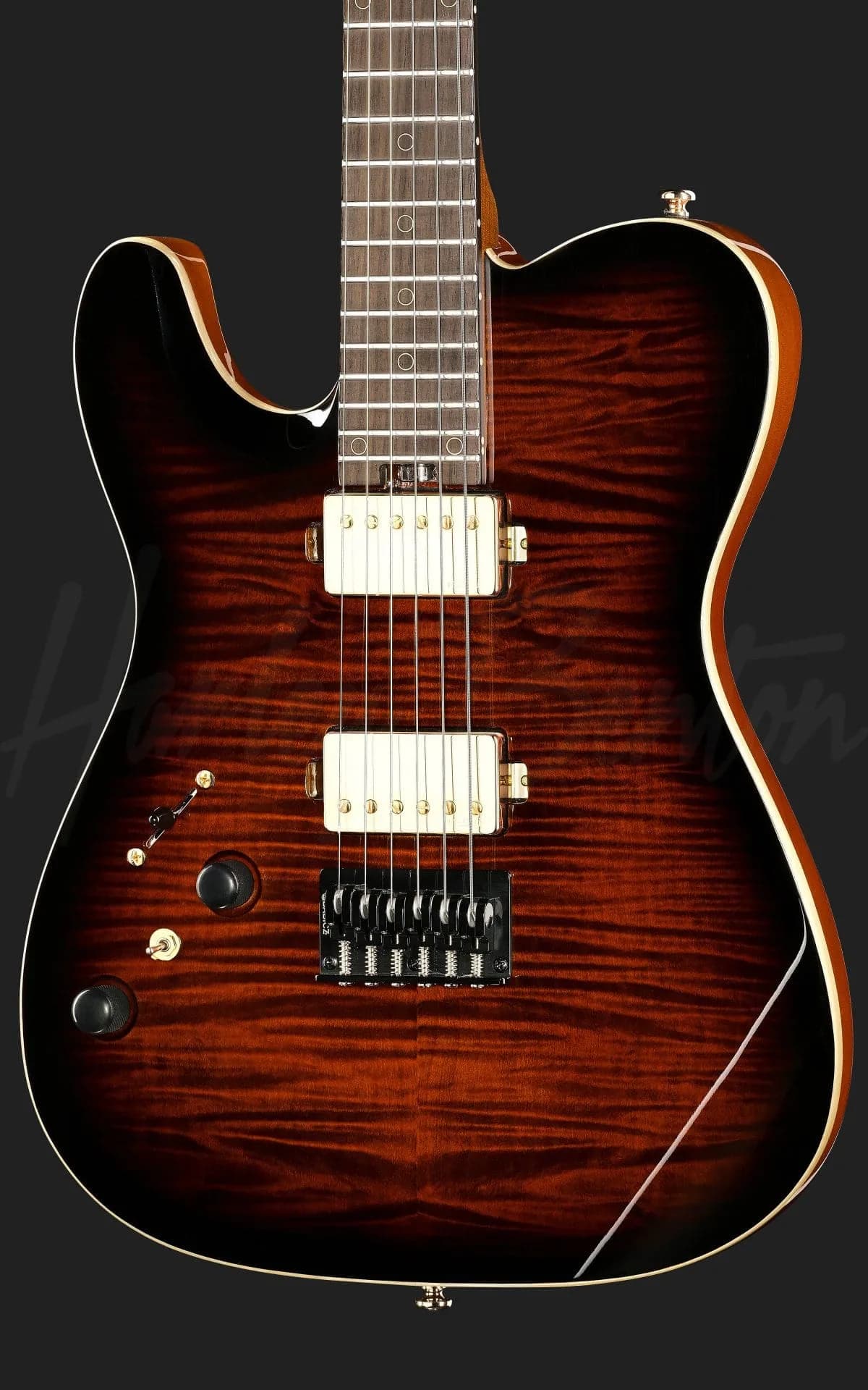 Harley Benton Fusion-T II HH LH RW HT FBB — photo 4