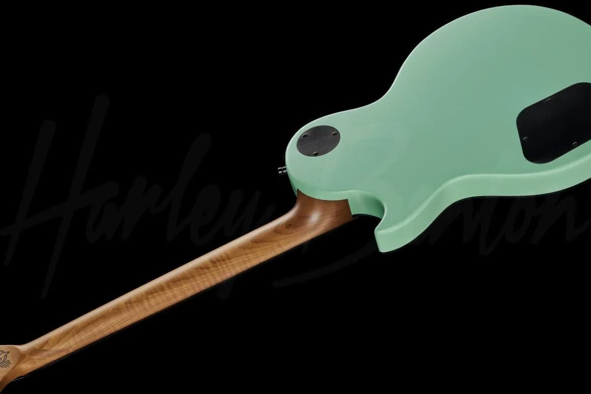 Harley Benton Agufish STD Signature SFG — photo 8