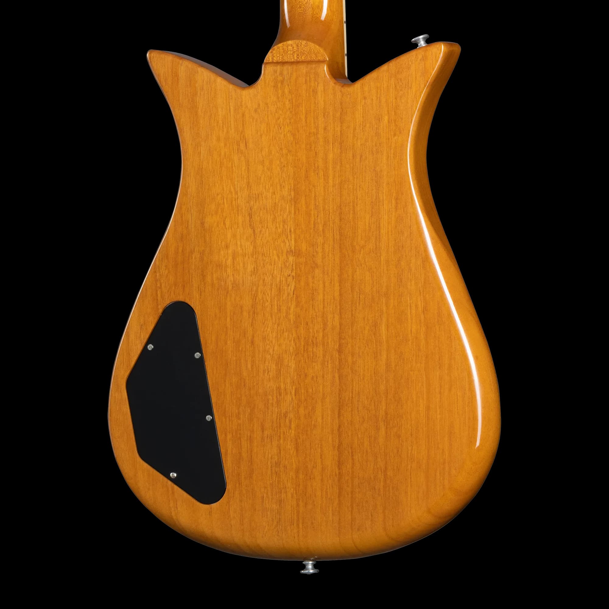 Gibson Theodore Standard, Antique Natural — photo 2