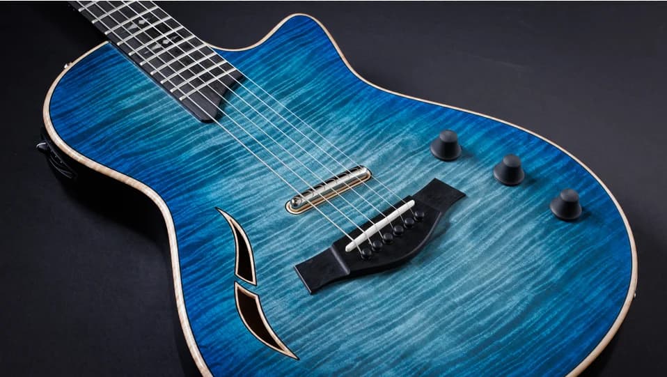 Taylor T5z Pro, Harbor Blue — photo 6