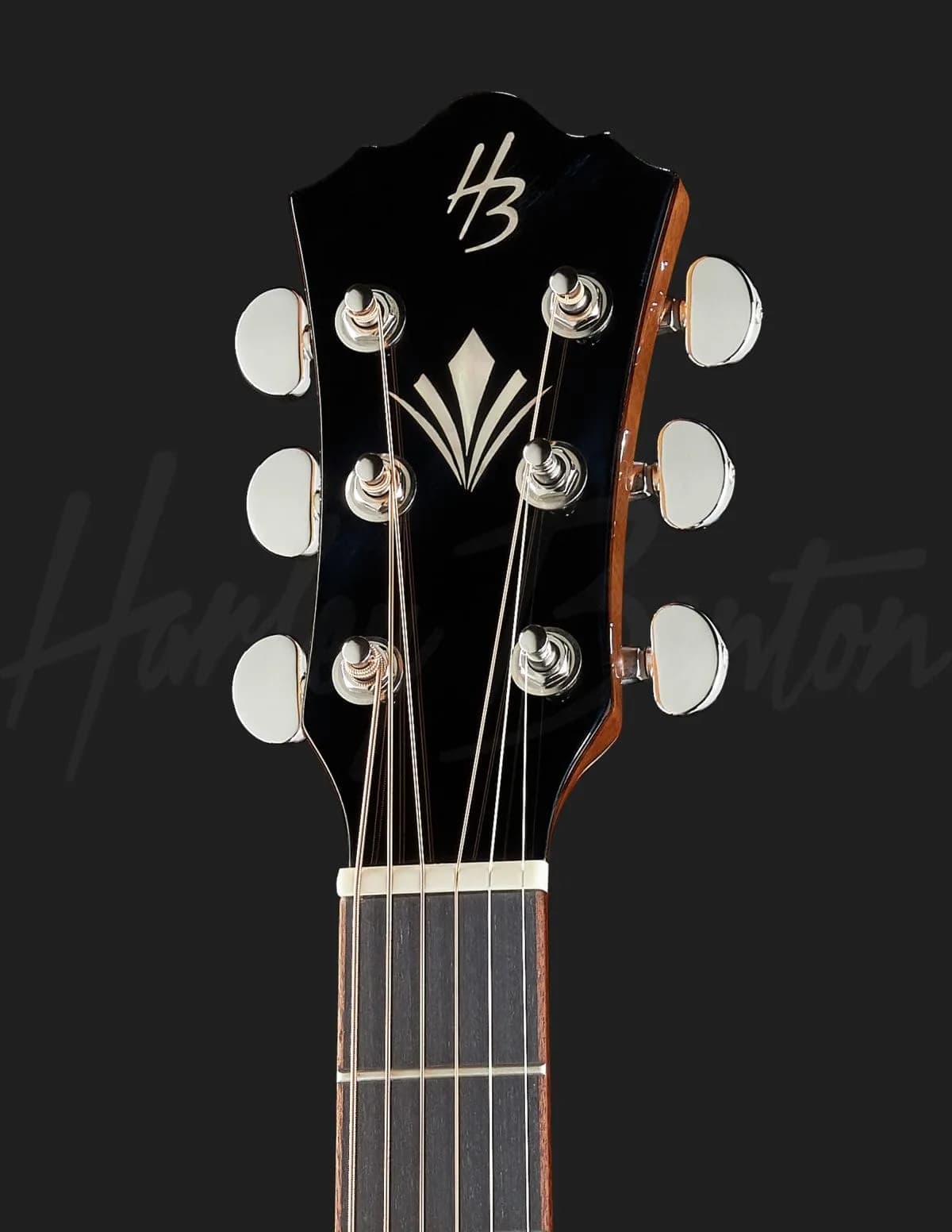 Harley Benton CLG-650SM-CE BK SolidWood — photo 6