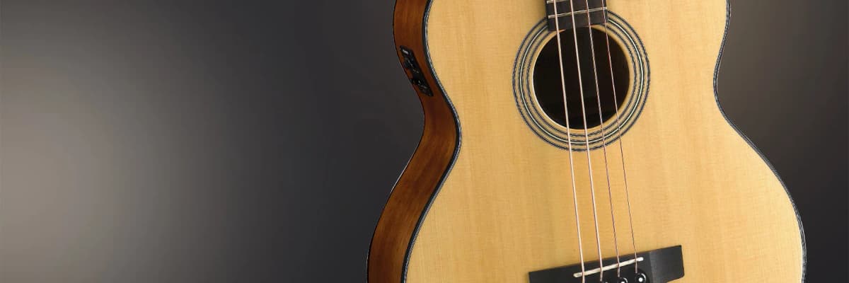 Cort Acoustic Bass SJB5F