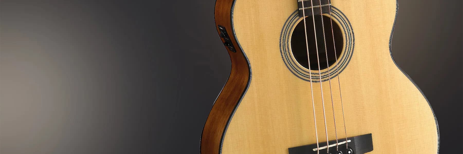 Cort Acoustic Bass SJB5F