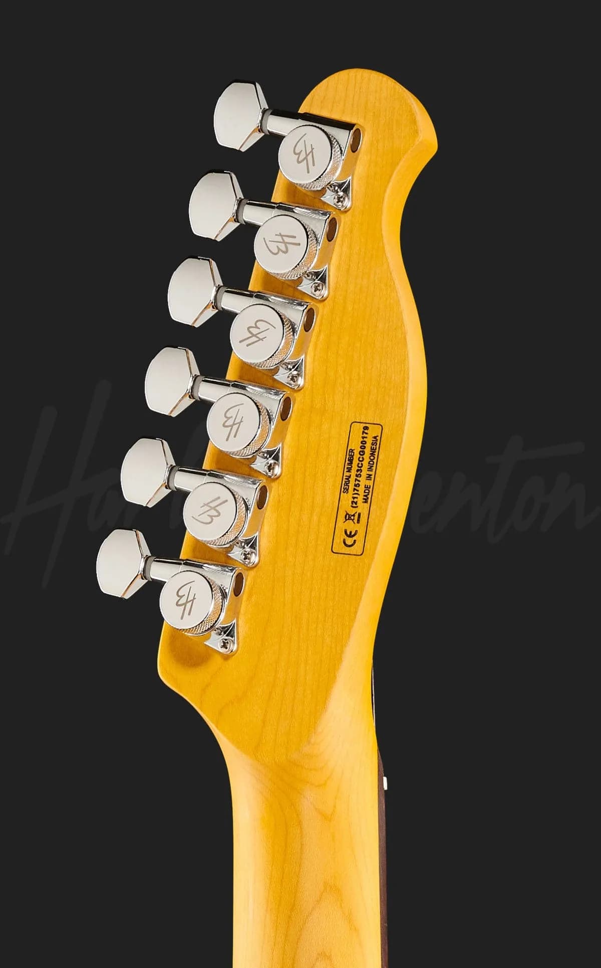 Harley Benton Fusion-T HH LH EB BK — photo 7