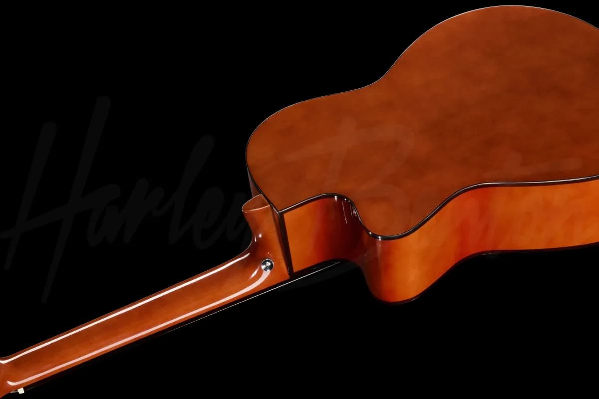 Harley Benton CG-300CE NT — photo 8