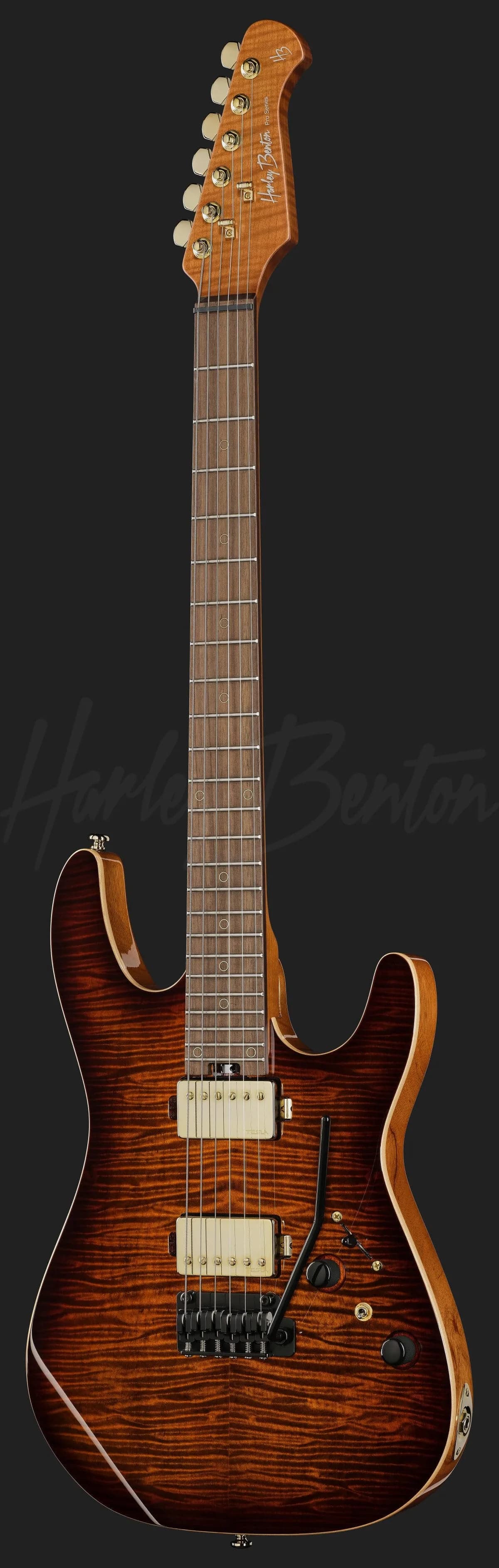Harley Benton Fusion-IV HH RW FBB — photo 2